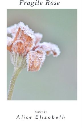 Fragile Rose- A Book of Poetry by AliceTheWriter7