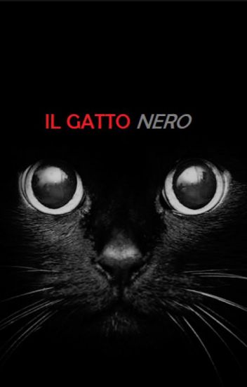 Il Gatto Nero Miriam Mannina Wattpad