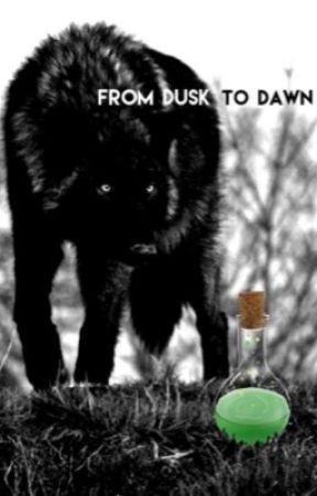 From Dusk to Dawn by Thetwotasksgirl14