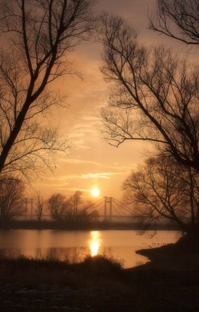 Short Poems by jacksellington21