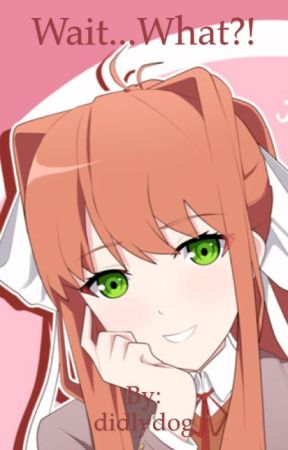 Wait... What?! Ddlc harem X Reader by didlydog