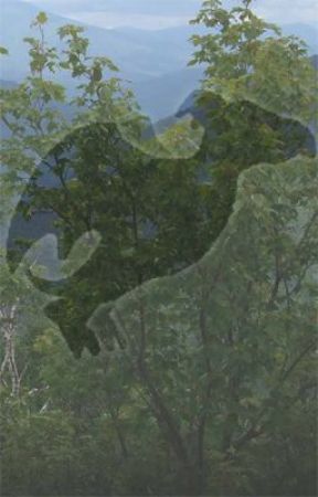 Songs and Poems from Pelsatia by Vellidragon
