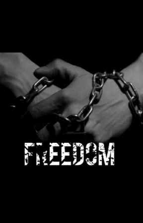 Book Four - Freedom by larryslove1618