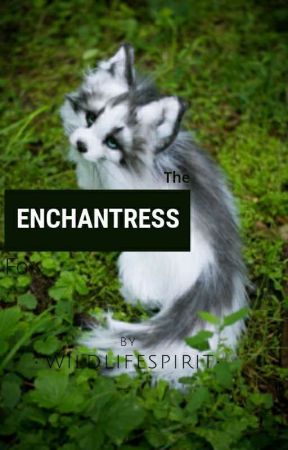 The Enchantress Fox by WildLifeSpirit