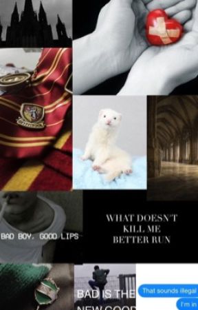 Ferret: A Drarry Story by Hufflepuffpride13