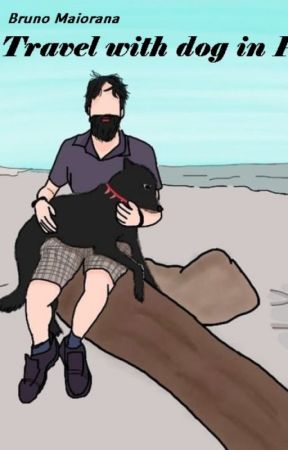 Travel with dog in Peru by mylastvacation