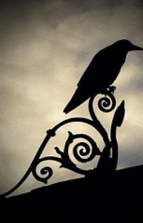 The Wraith Witnesses Anthology by rachloves2write