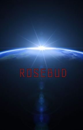 Rosebud by WillBillHill123