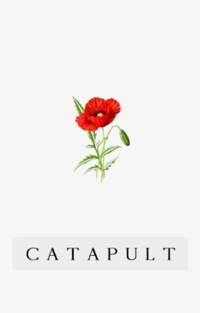 Catapult ▻ Seth Clearwater by bailsofheyyy