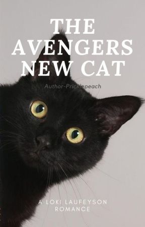The Avengers New Cat // A Loki Laufeyson Romance Book by -LokiFanficCreator-