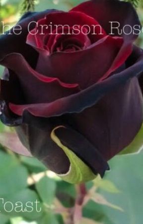 The Crimson Rose by Toast_Boi