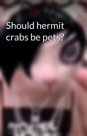 Should hermit crabs be pets? by HuffingSmarties
