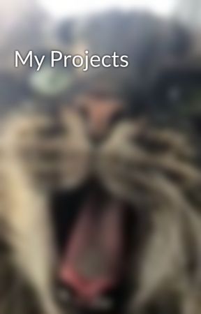 My Projects by Toast_Boi
