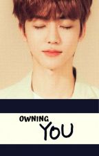 Owning You - A Na Jaemin Fanfic by Kainingwen
