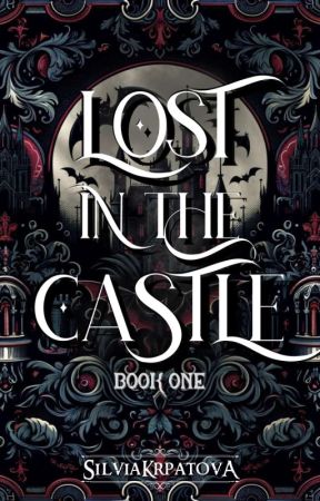 Lost in the castle by SilviaKrpatova