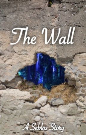 The Wall | Seblos by DonTheRock