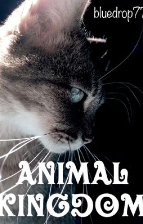 Animal Kingdom by bluedrop77