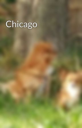 Chicago by property76