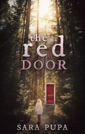 The Red Door by OriginalRevolver