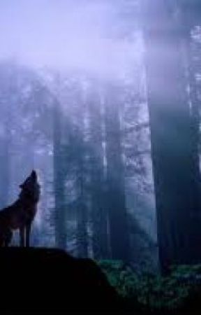 The White Wolf by kea_emalia