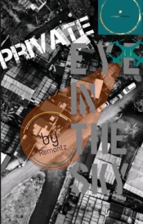 Private Eye in the Sky by Remontz_X