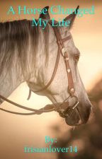 how a horse changed my life About my life at sweetbrier-a life changed by horses what if you grew up on a horse farm and your single passion was to become a champion horseback rider. how a horse changed my life About my life at sweetbrier-a life changed by horses what if you grew up on a horse farm and your single passion was to become a champion horseback rider.