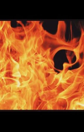 Burn: Book I- The Beginning by itscoco__