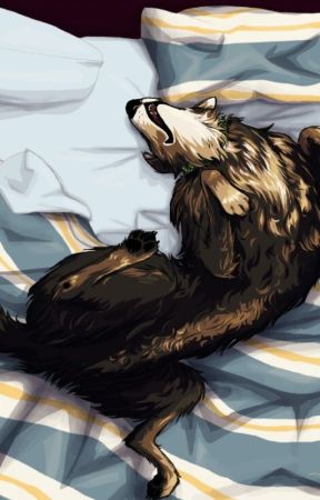 Sterek: Volume Two by SierraStilinski