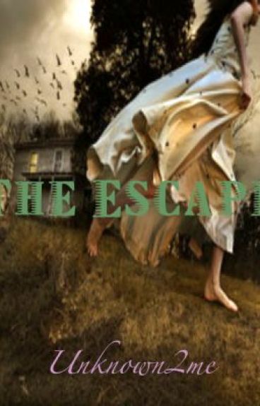 The Escape - A Lisa McMann Entry by Unknown2me