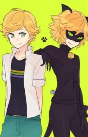 Love Square {Chat Noir x Reader} Complete!~ by SkyWolf2