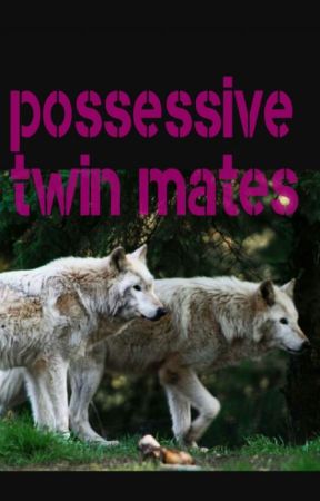 Possessive twin Mates by Cheetah_0905