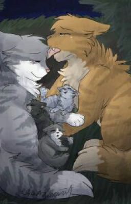 Warrior cats ships - Berrynose x honeyfern - Wattpad