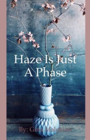 Haze Is Just A Phase by thepanickedpilots