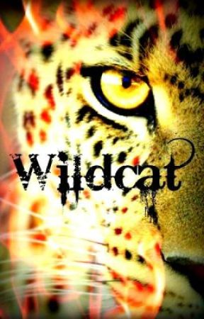 Silent Heroes: Wildcat by unbrokenworld