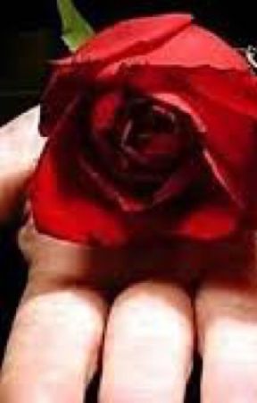 The Red Rose by Ralhatimy