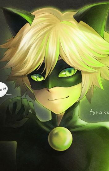 Chat Noir X Male Reader Itssinclair Wattpad