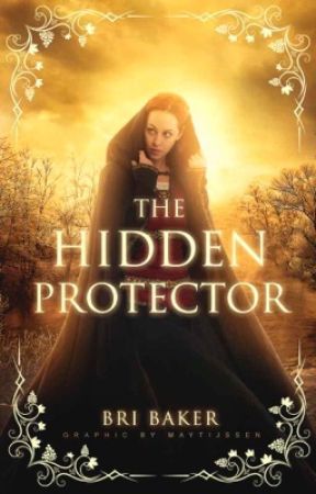The Hidden Protector (Book 2) by BriBaker415