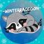 -WinterRaccoon-