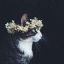 AMetaphoricalCat