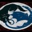 Dragonsandwolves
