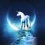 Spceunicorn