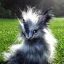 WildLifeSpirit