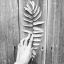 aquatic_authoress