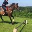 horsy90967