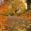 livraek_