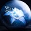 luna17