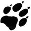 may_bear