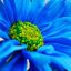 onederstruck-